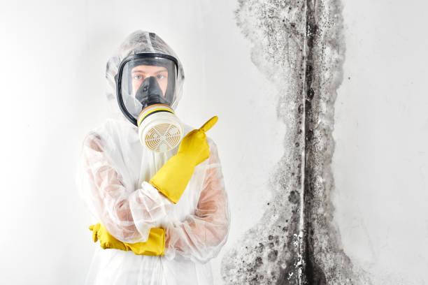 Parachute, CO Mold Removal Company