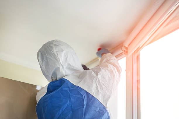 Best Mold Prevention Services in Parachute, CO