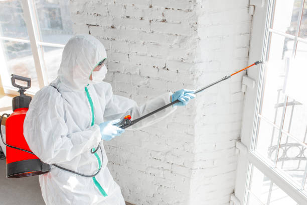 Best Biohazard Mold Removal in Parachute, CO